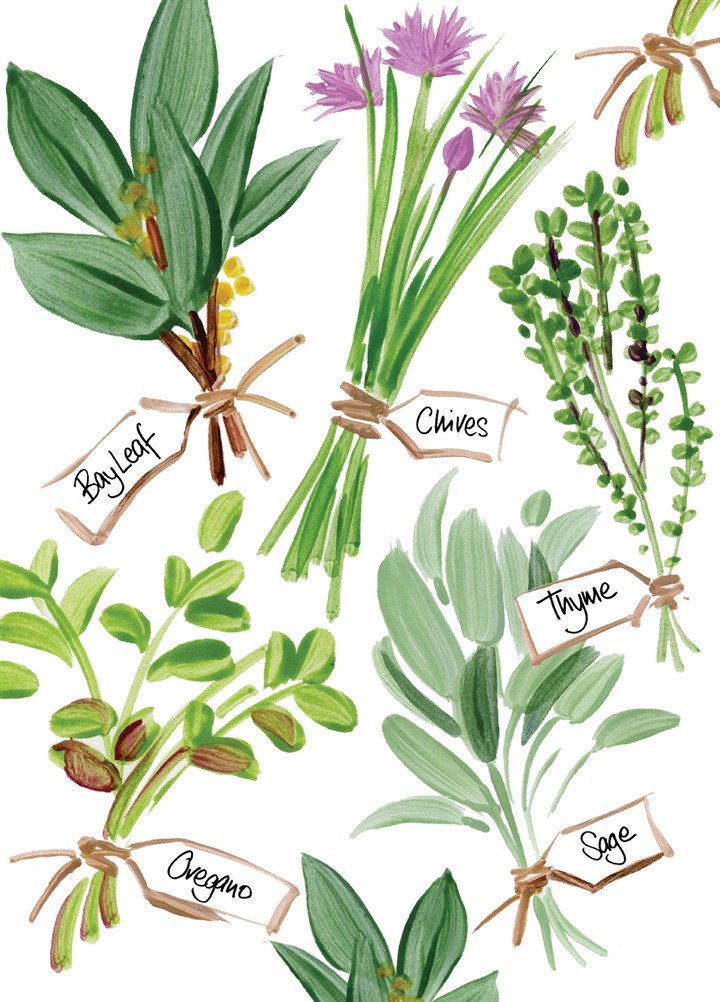 Herbs Card