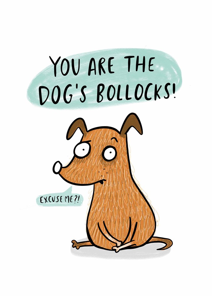 You Are The Dog's Bollocks Card