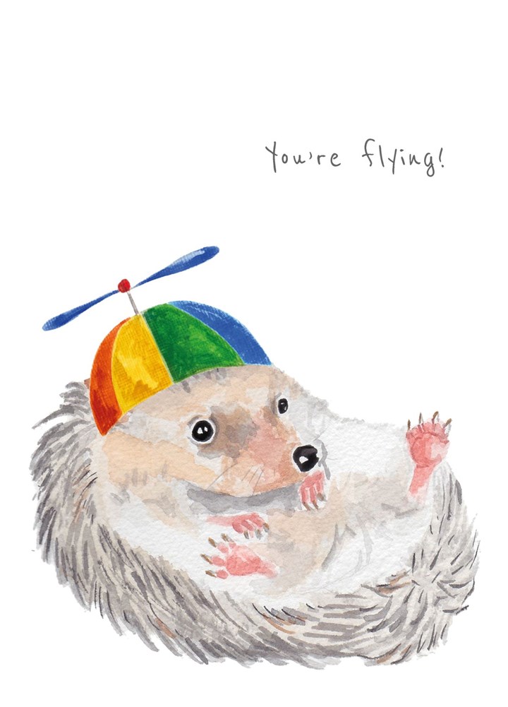 Hedgehog In Propellor Hat Card