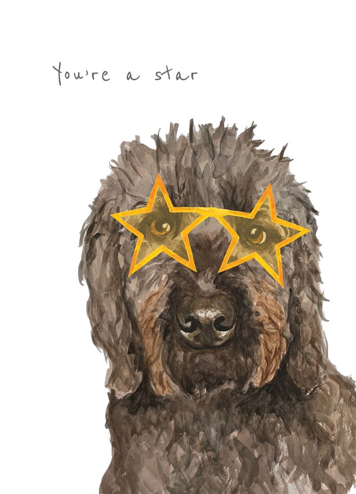 You're A Star Labradoodle Card