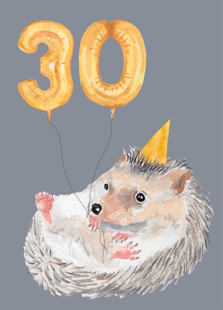 Hedgehog 30th Birthday Card