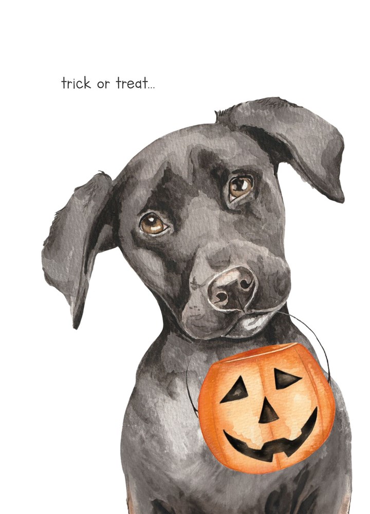 Halloween Trick Or Treat Dog Card