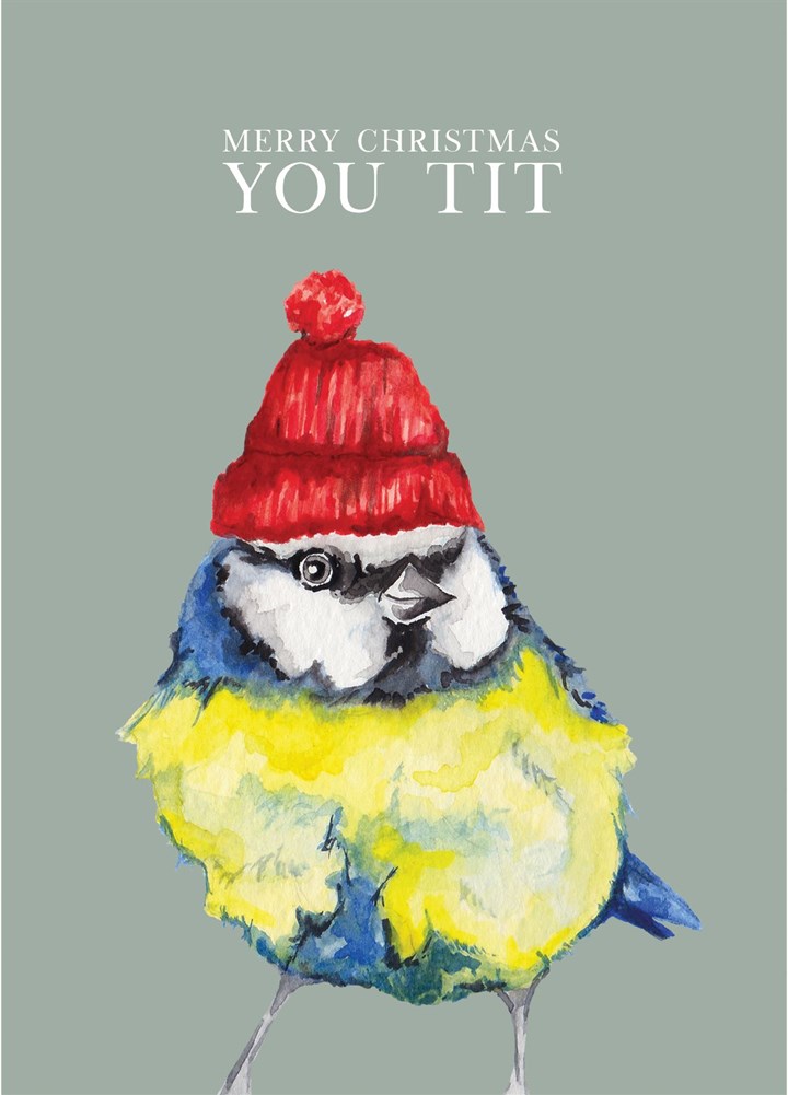 Christmas Blue Tit Card