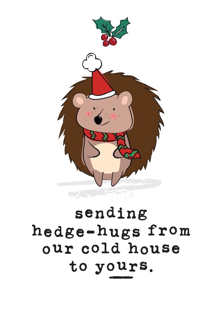 Cost Of Living Crisis Cute Hedgehog Hugs Card