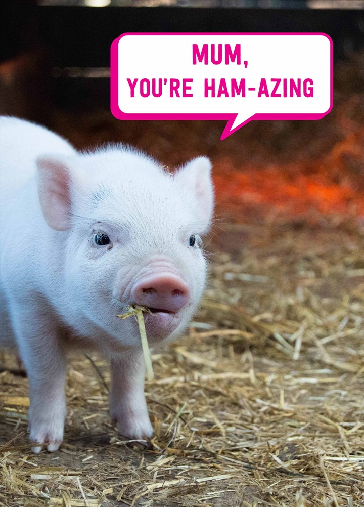 Mum You're Ham-Azing Card
