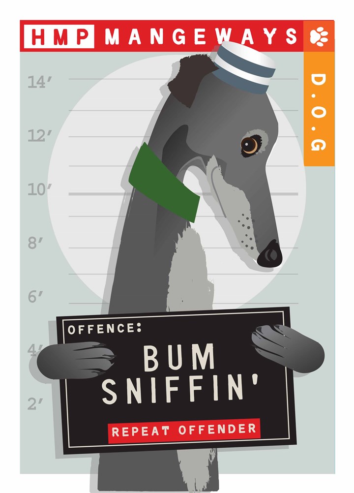 Bum Sniffin Card