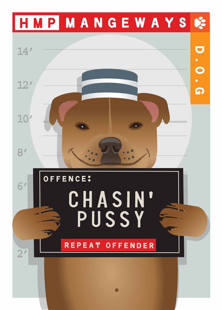 Chasin Pussy Card