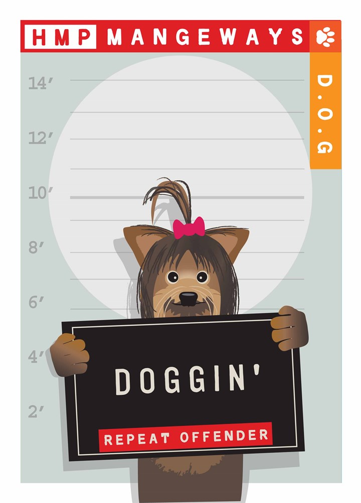 Doggin Card