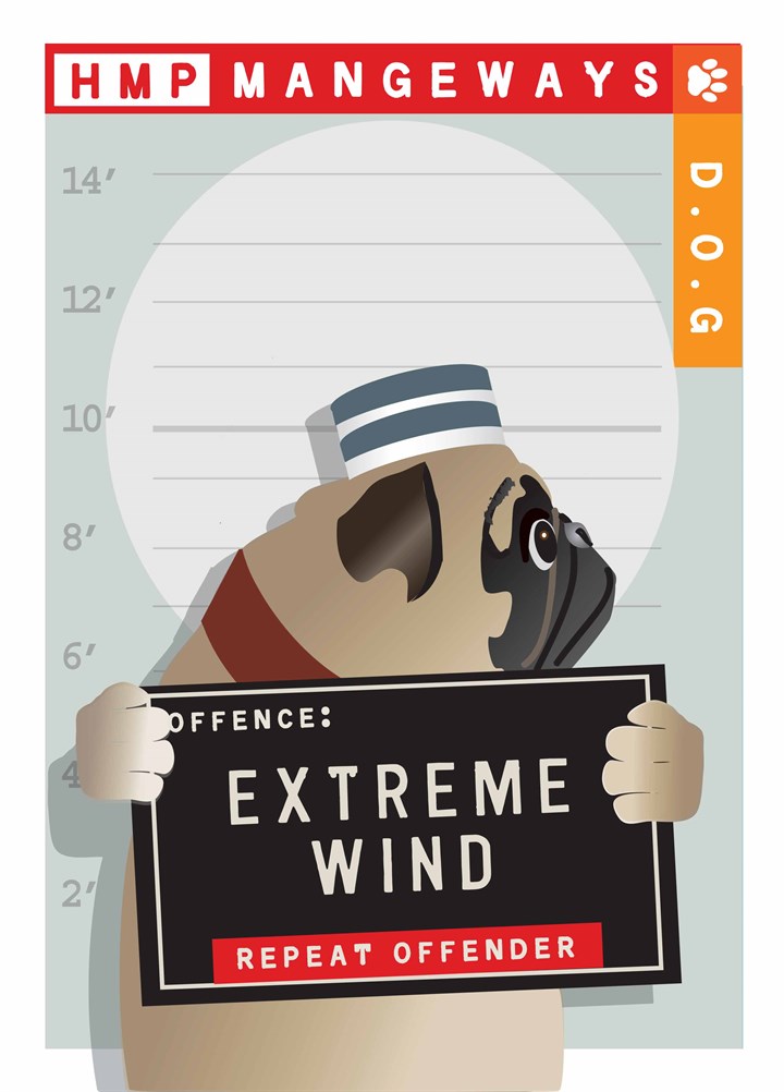 Extreme Wind Card
