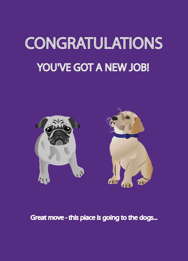 New Job This Place Is Going To The Dogs Card