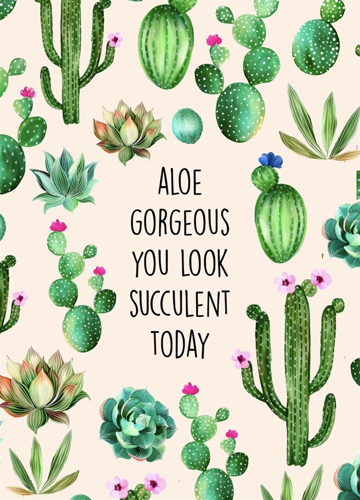 Aloe Gorgeous You Look Succulent Today Card