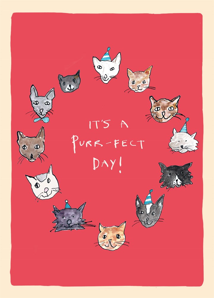 It's A Purr Fect Day Card