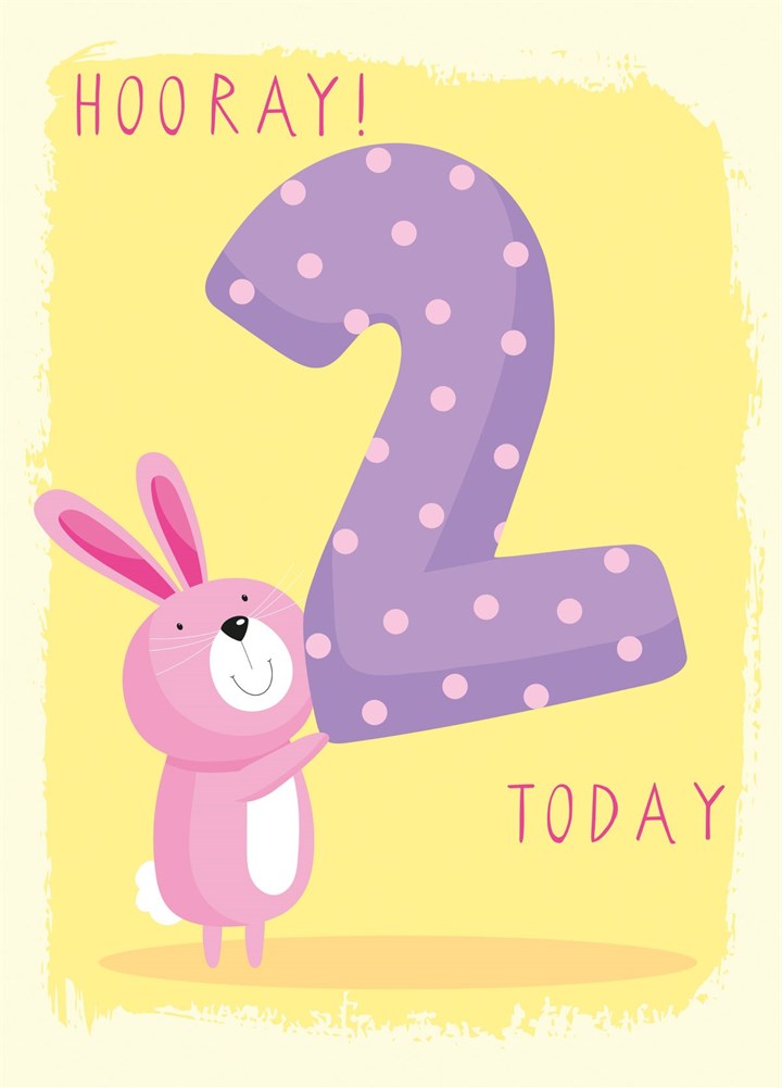 2 Today Bunny Birthday Card