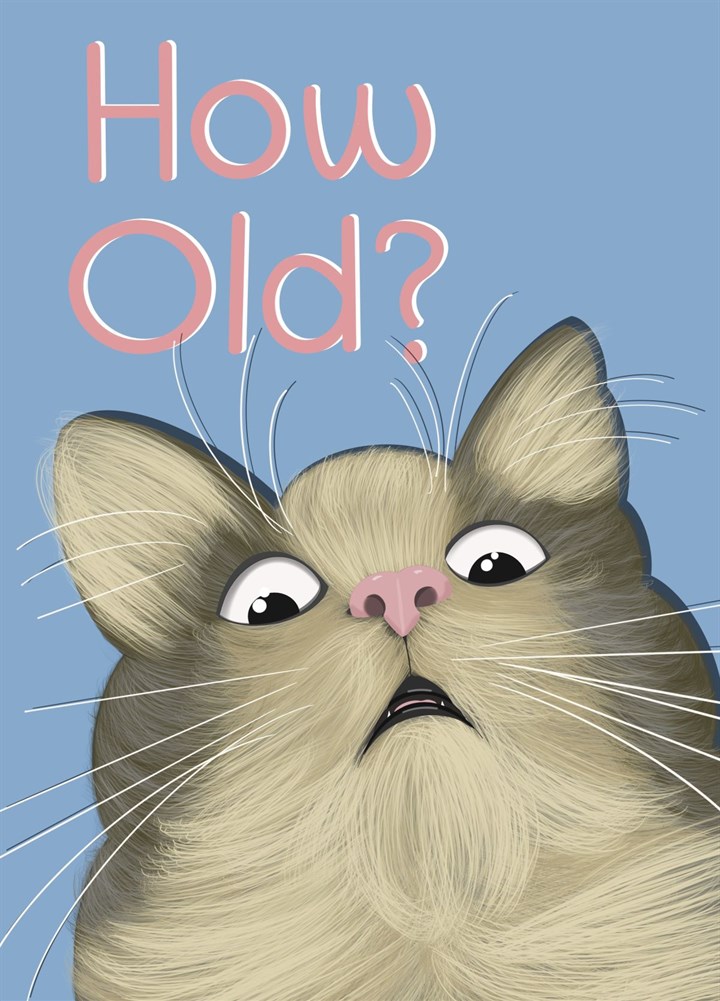 Funny Cat - Getting Old - Birthday Card