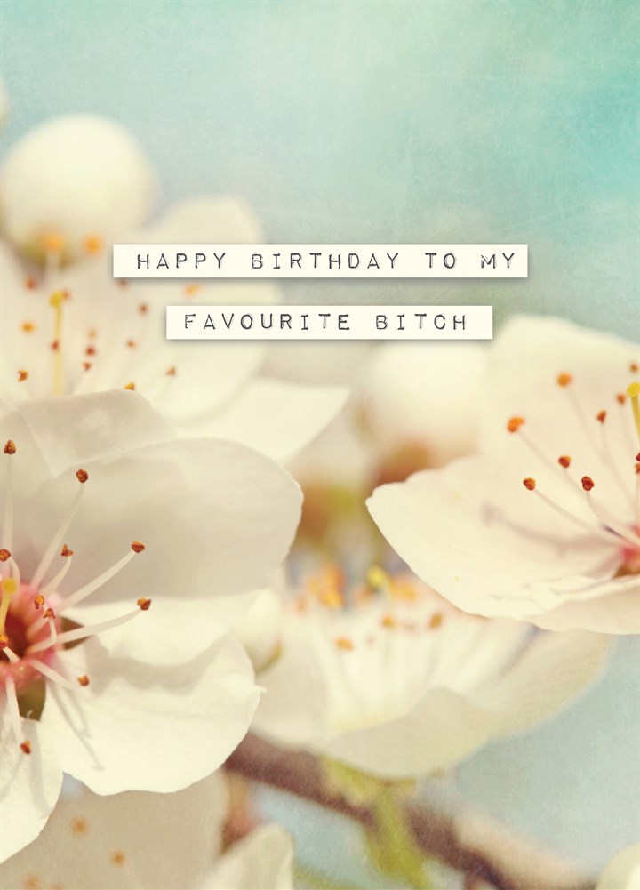 Happy Birthday To My Favourite Bitch Card