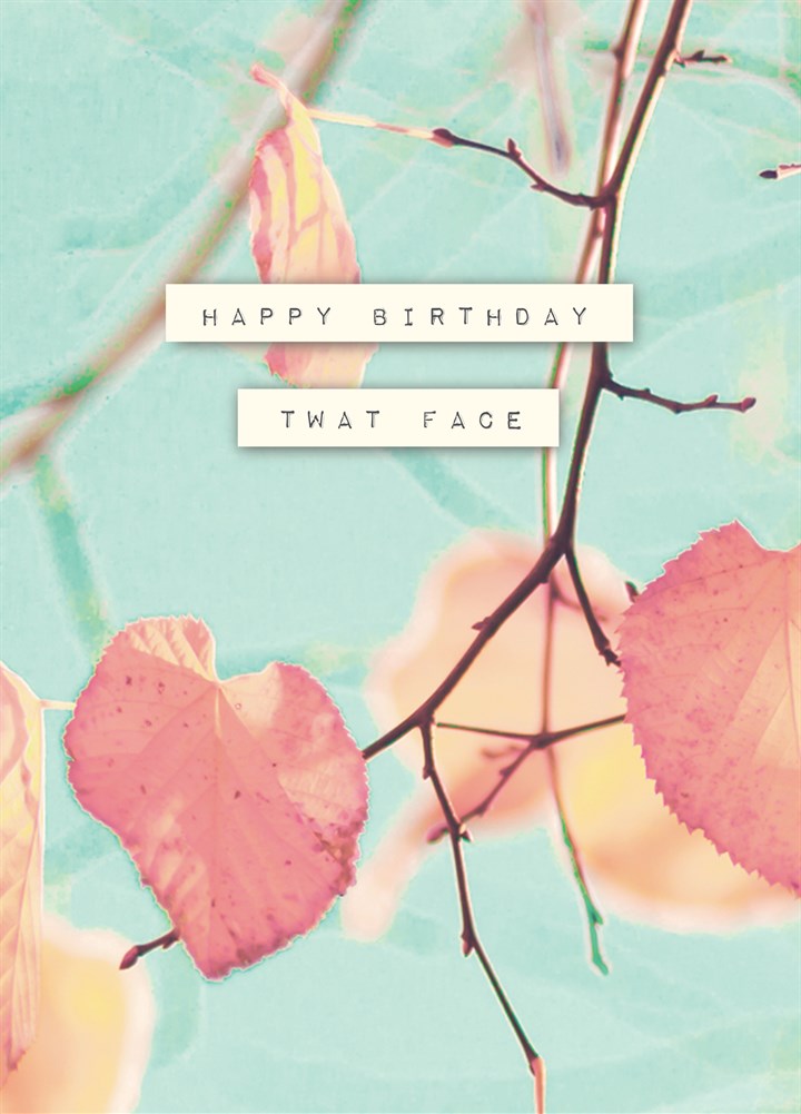 Happy Birthday Twat Face Card