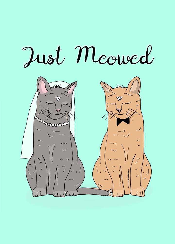 Just Meowed Card