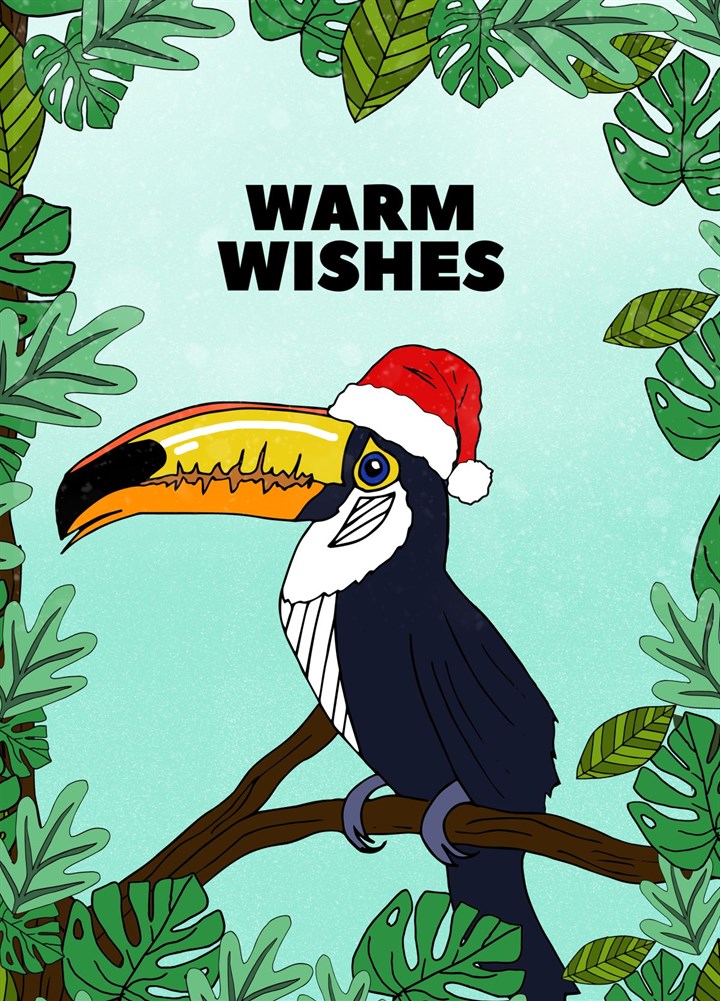 Warm Christmas Wishes Card