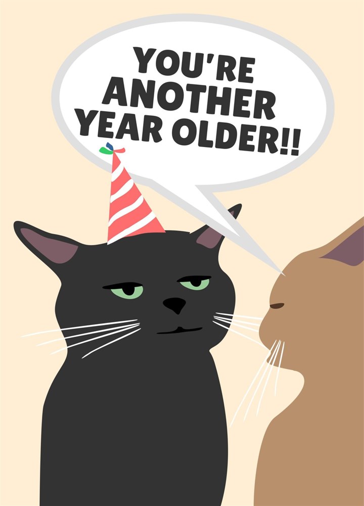 You're Another Year Older Zoned Out Cat Card