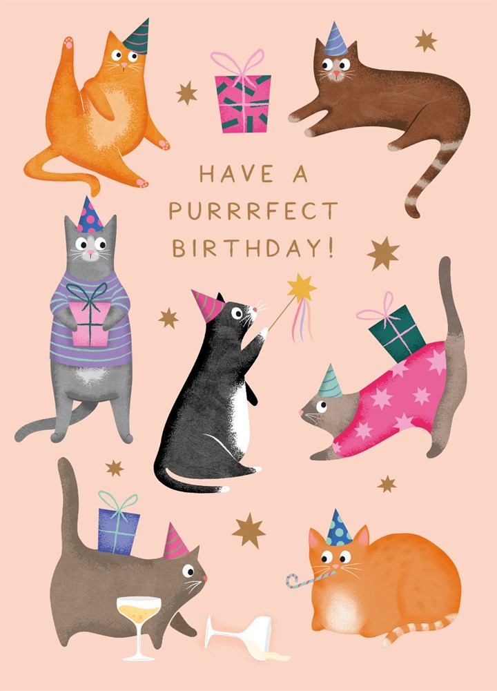 'Have A Purrrfect Birthday' - Party Cats Birthday Card