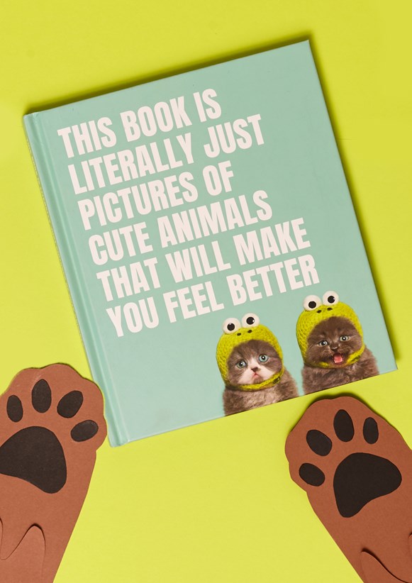This Book Is Literally Just Pictures Of Cute Animals