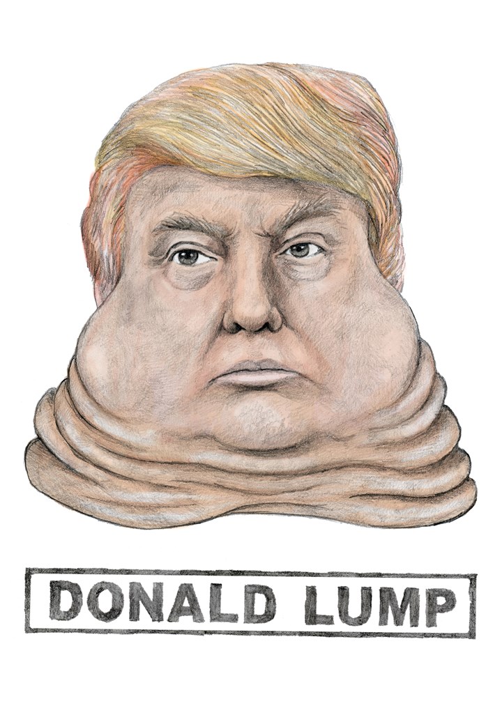 Donald Lump Card