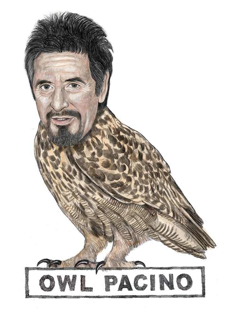Owl Pacino Card