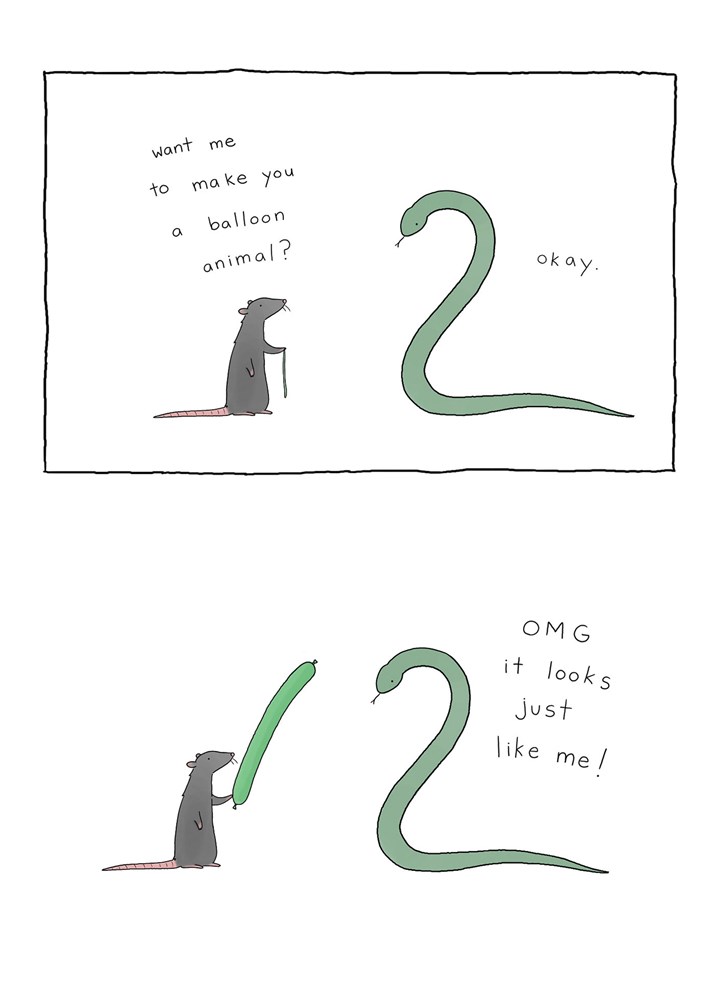 Snake And Other Animals Card