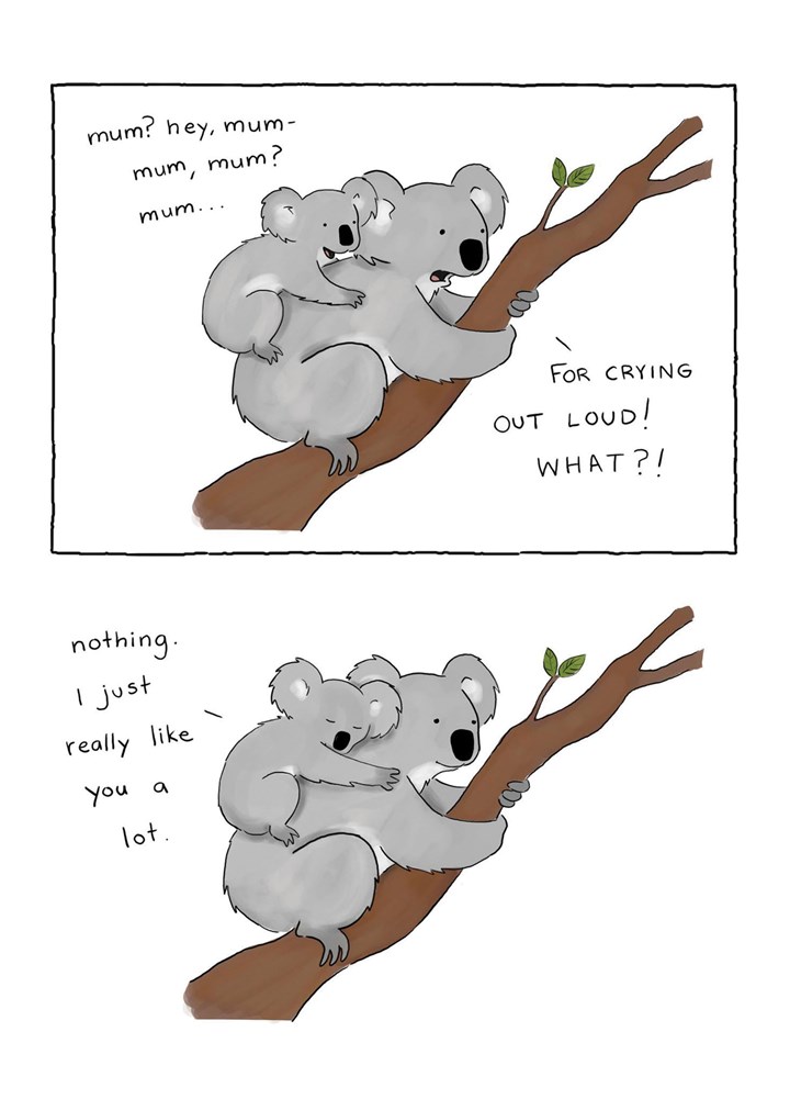 Koala Bear Card