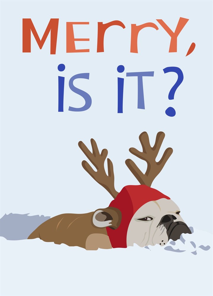 Merry, Is It?! Dog Christmas Card