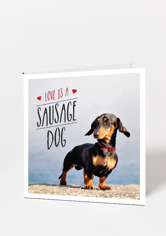Love Is A Sausage Dog