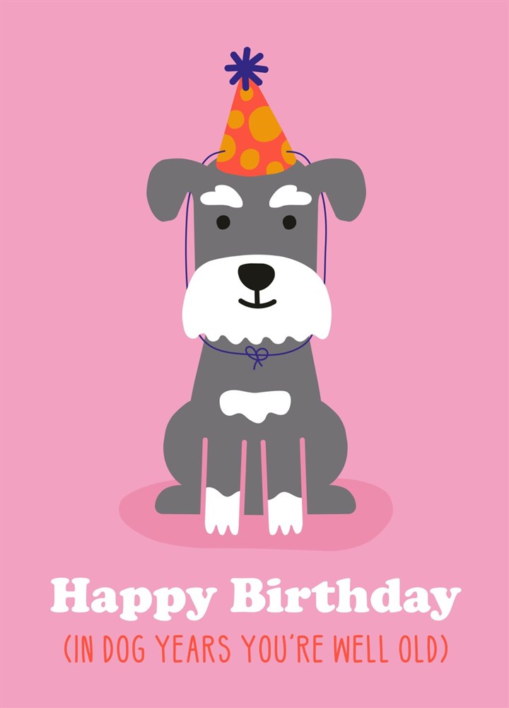 Happy Birthday - In Dog Years You're Well Old Card