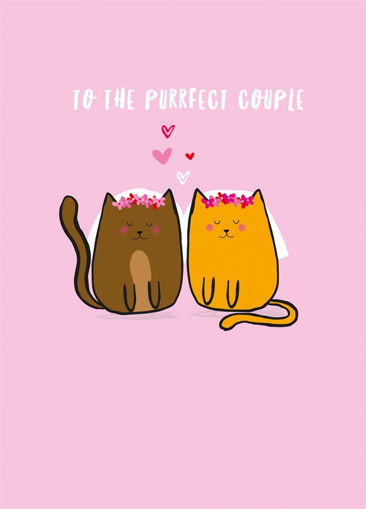 Your Purrfect For Each Other Card