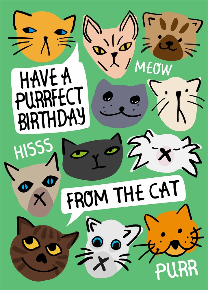 Happy Birthday From The Cat Card