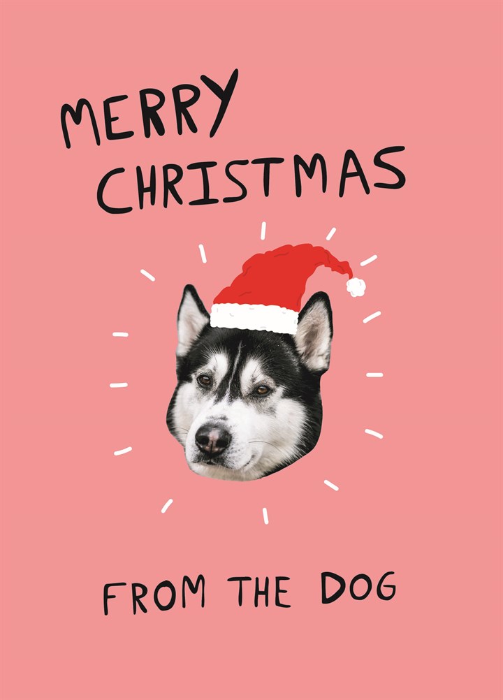 Merry Christmas From The Dog Card