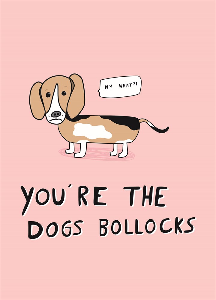 You're The Dogs Bollocks Card