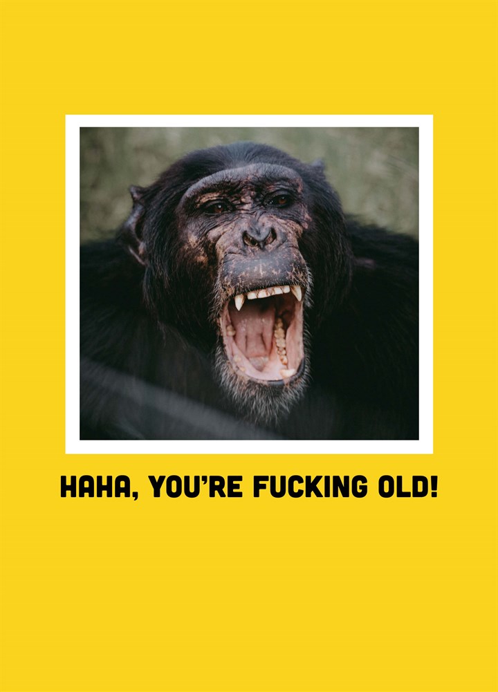 Haha You're Fucking Old Card