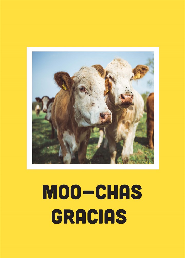 Moo-Chas Gracias Card
