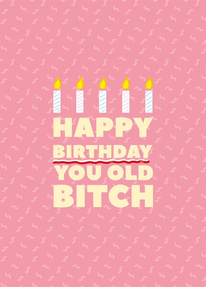 Happy Birthday You Old Bitch Card