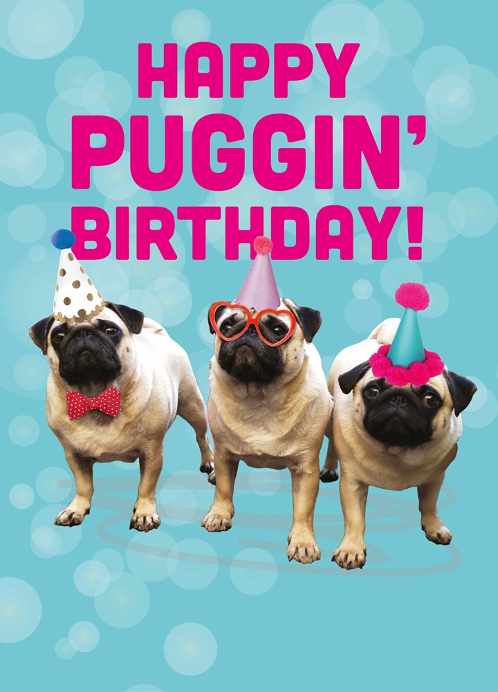 Happy Puggin Birthday Card