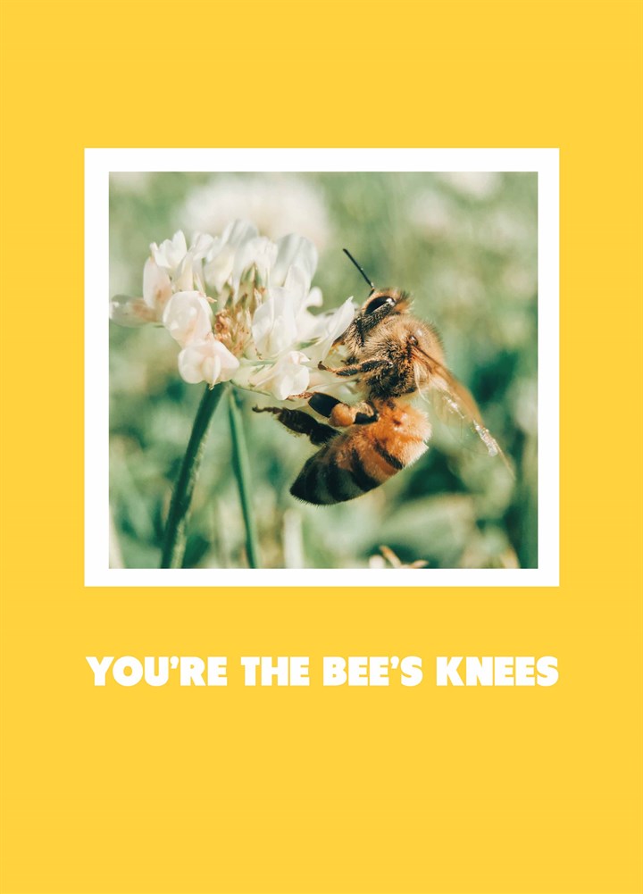 You're The Bees Knees Card