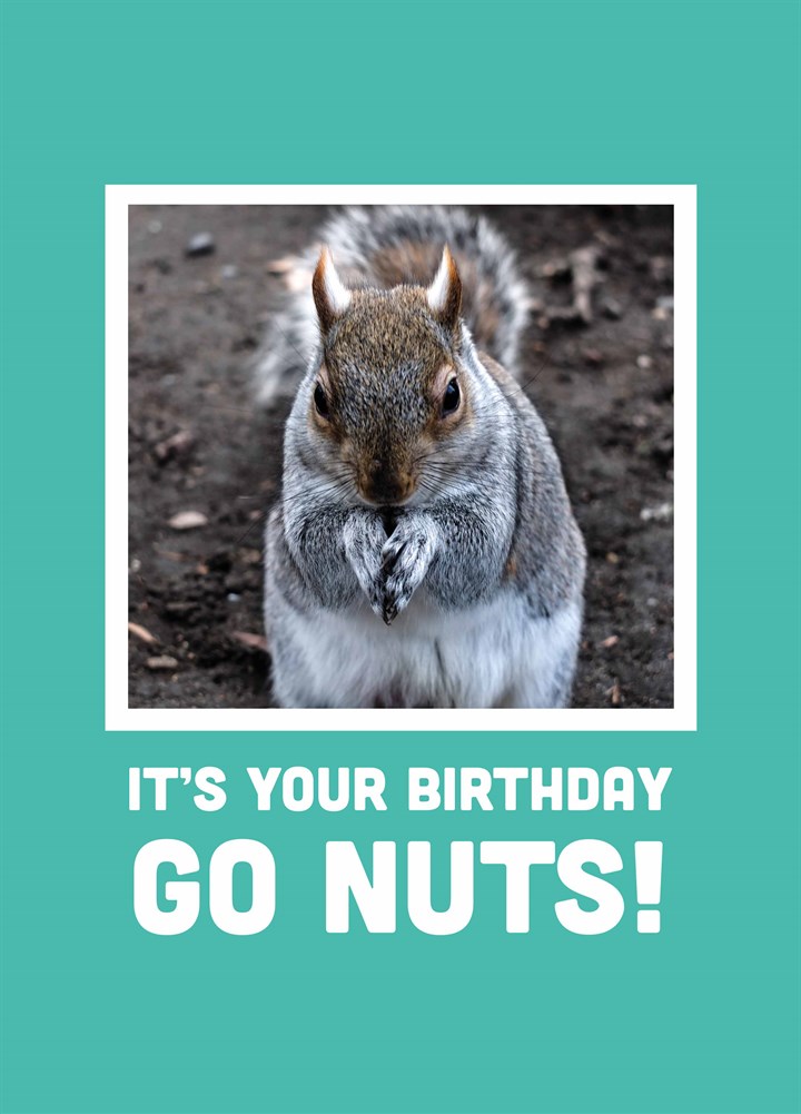 It's Your Birthday Go Nuts Card