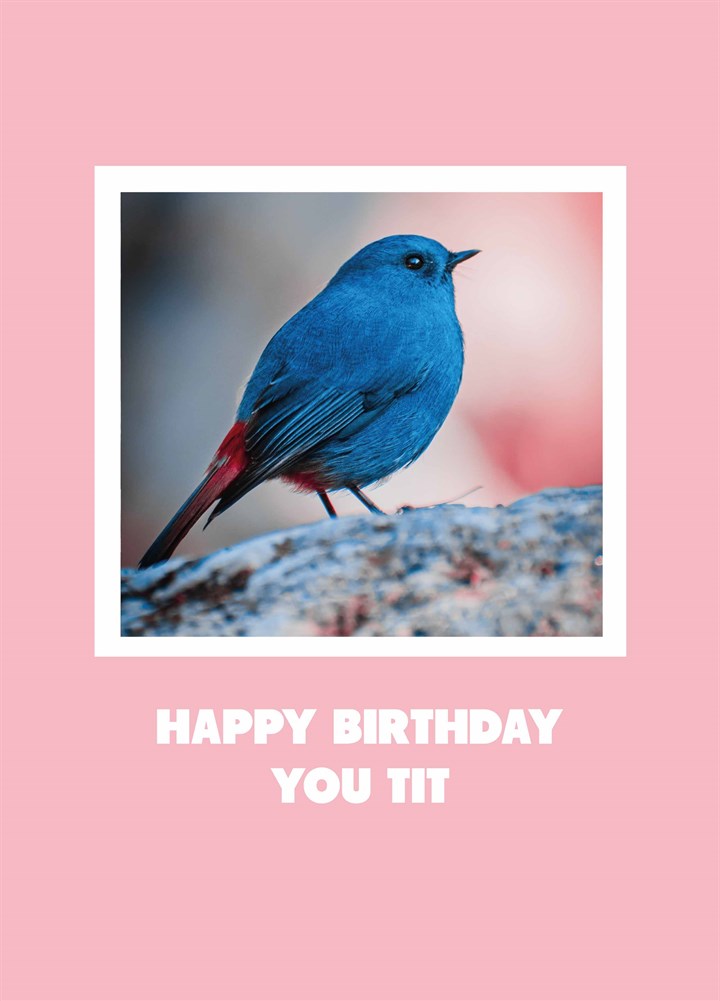 Happy Birthday You Tit Card