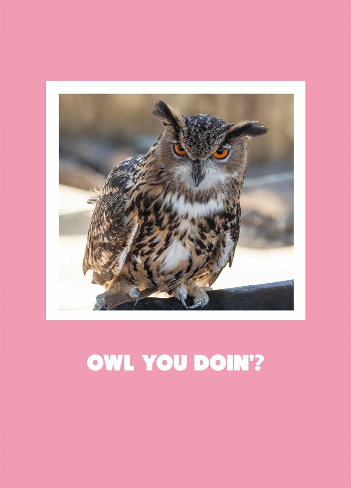 Owl You Doin Card