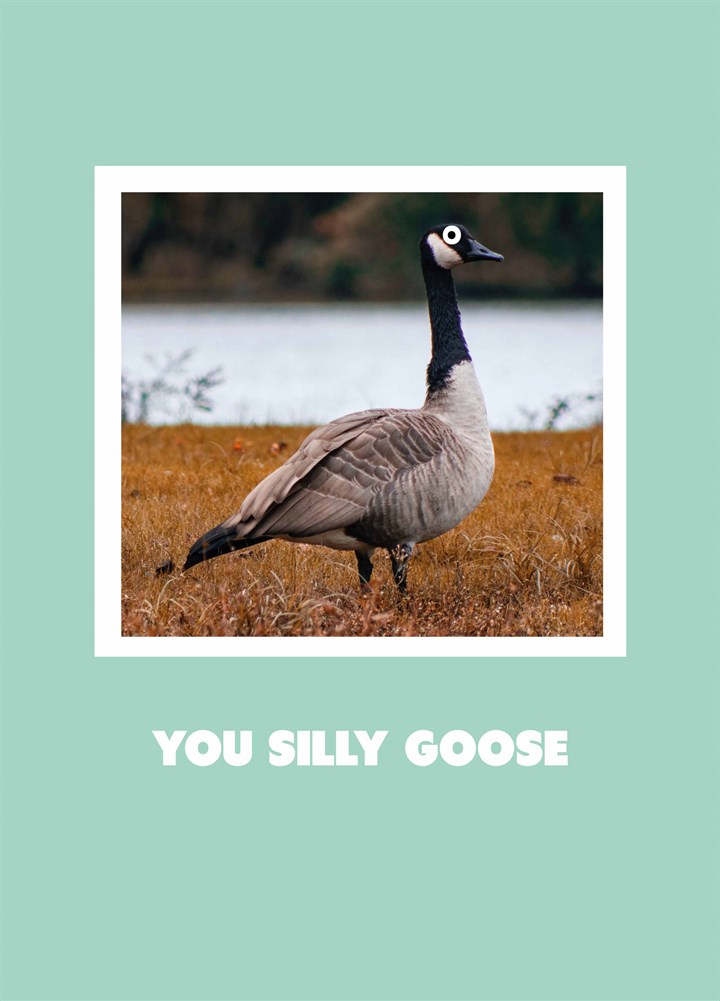 You Silly Goose Card