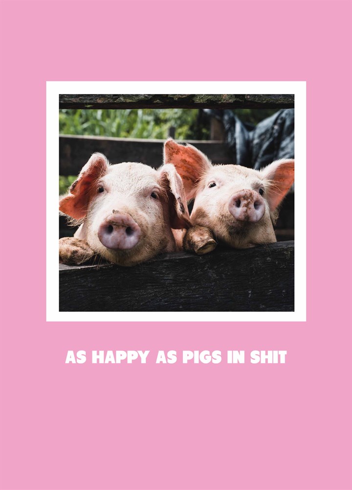 Happy As Pigs In Shit Card