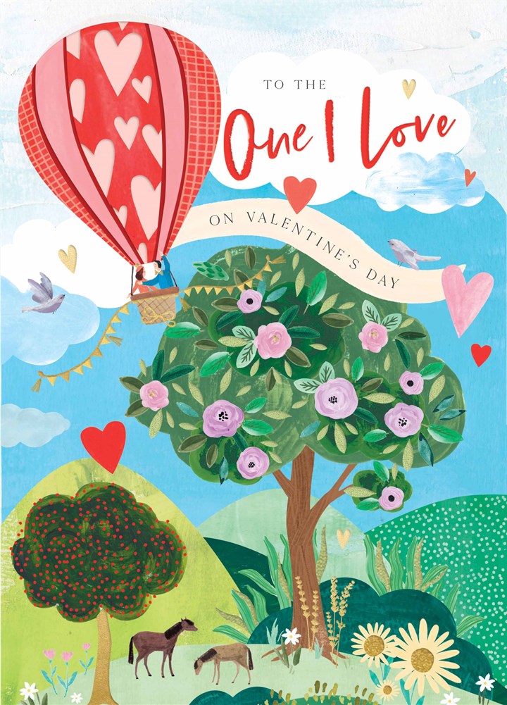 The One I Love Hot Air Balloon Valentine's Card