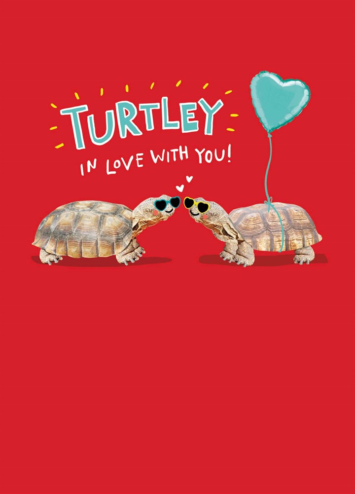 Turtley In Love Valentine's Card