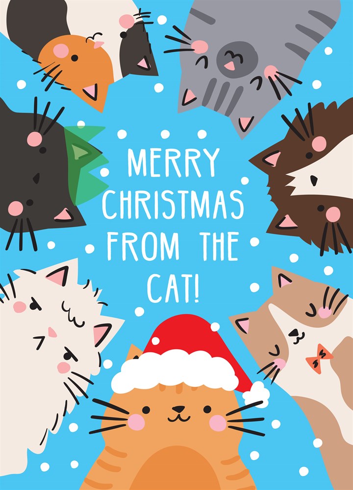 From The Cat Snowy Christmas Card