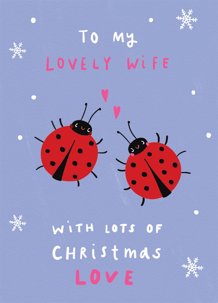 Wife Ladybird Christmas Card